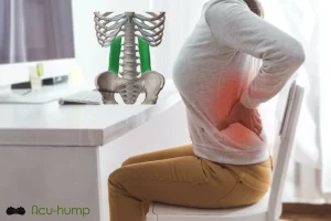 A woman sitting at a desk for a long time makes the QL muscles tight, which leads to lower back pain