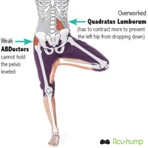 A woman stands, bends her left leg and places the sole of her foot on the heel of her right thigh to strechening the QL muscles
